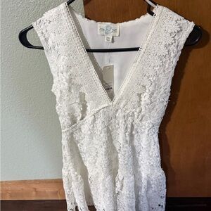 Francesca's White Lace Sleeveless V-Neck Dress